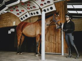 A horse using the equine facilities at Brooksby College