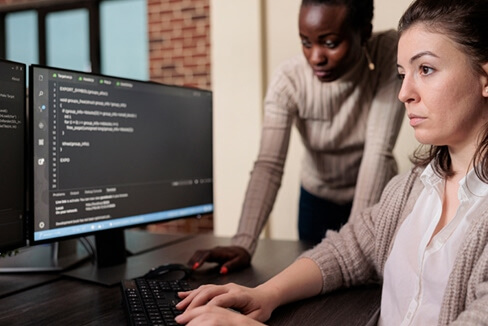 description of the image here