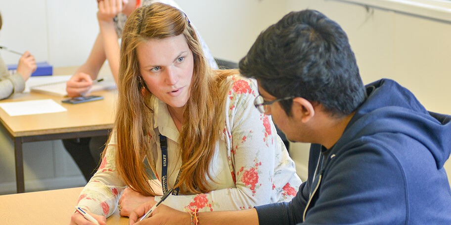 Expert with student