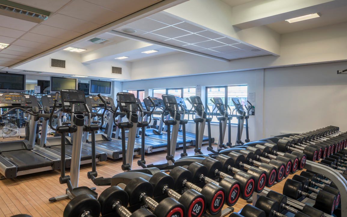 Rows of dumbbells and treadmills