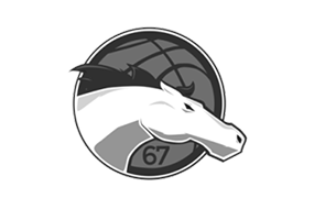 Leceister Riders logo